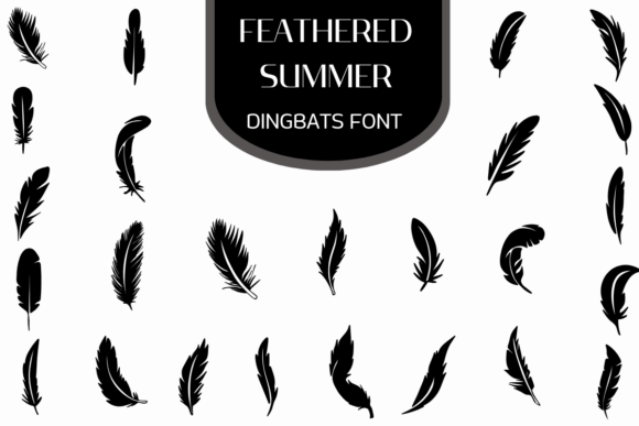 Feathered Summer: A Font for Creative Clarity